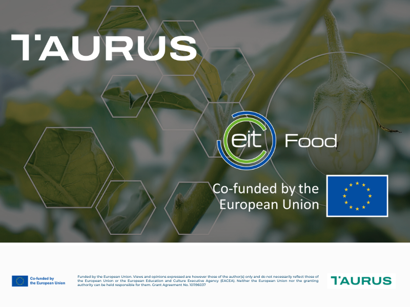 Meet the partners: EIT Food